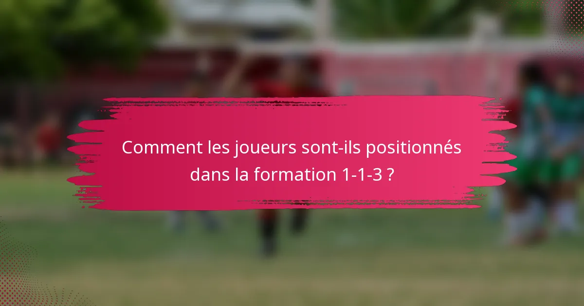 Comment les joueurs sont-ils positionnés dans la formation 1-1-3 ?