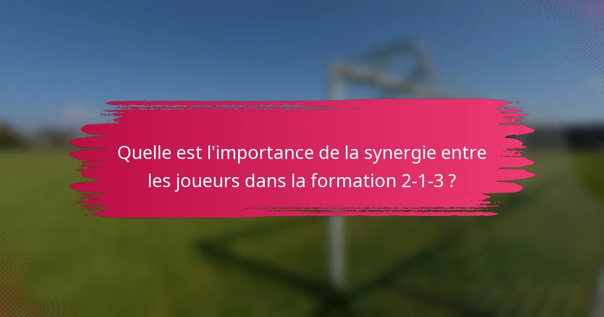 Quelle est l'importance de la synergie entre les joueurs dans la formation 2-1-3 ?